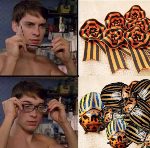 pliaga /  háveď